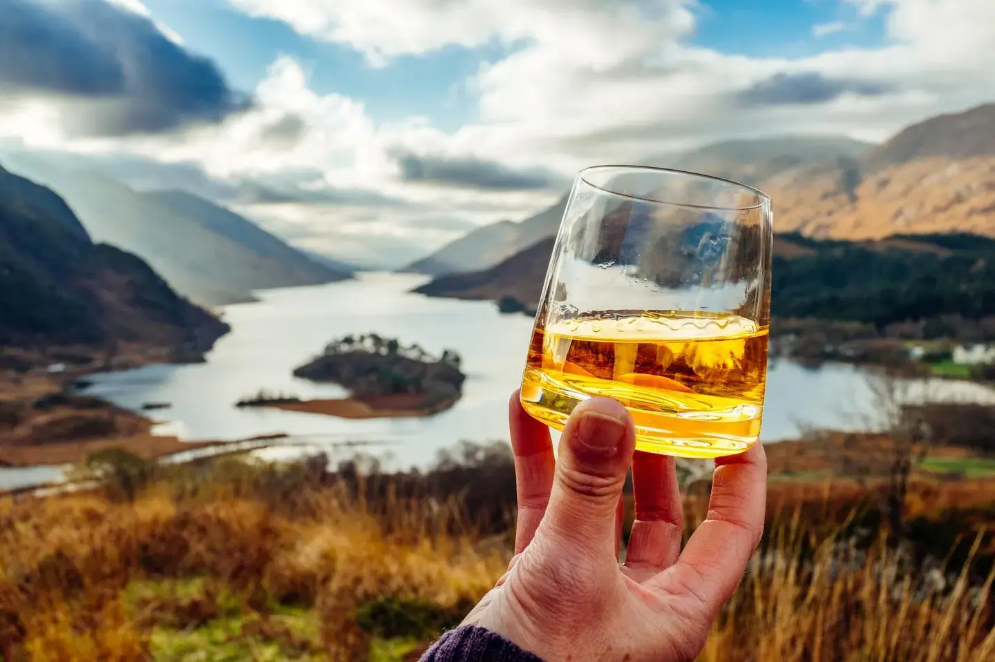 mejores whiskies del mundo iwsc