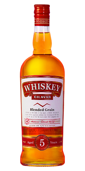 Gilavar 5 Year Old 